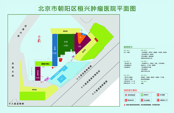 舔舔逼操骚B视频北京市朝阳区桓兴肿瘤医院平面图